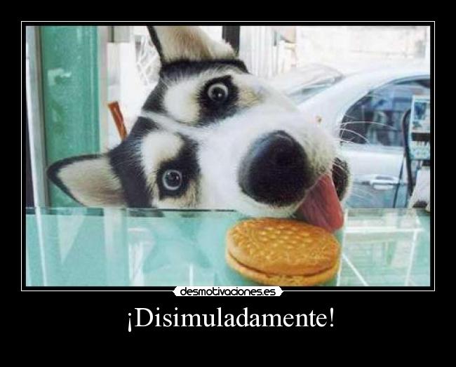 ¡Disimuladamente! - 