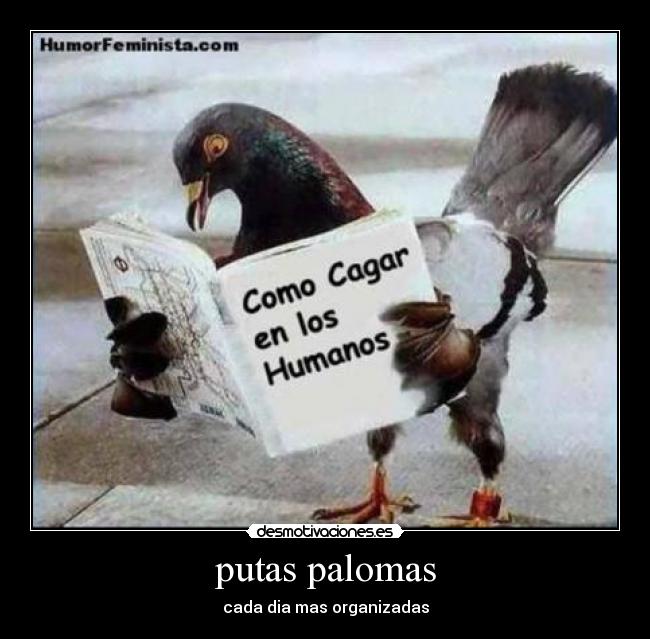 putas palomas -