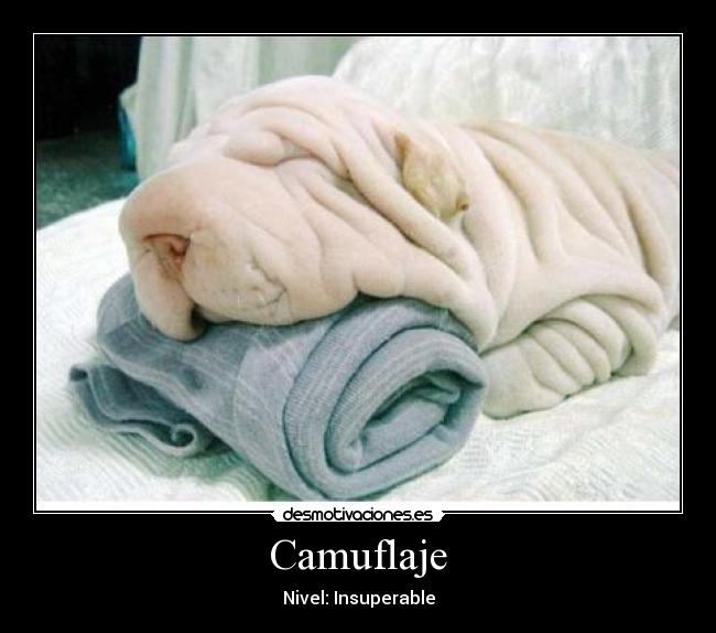 carteles camuflaje desmotivaciones