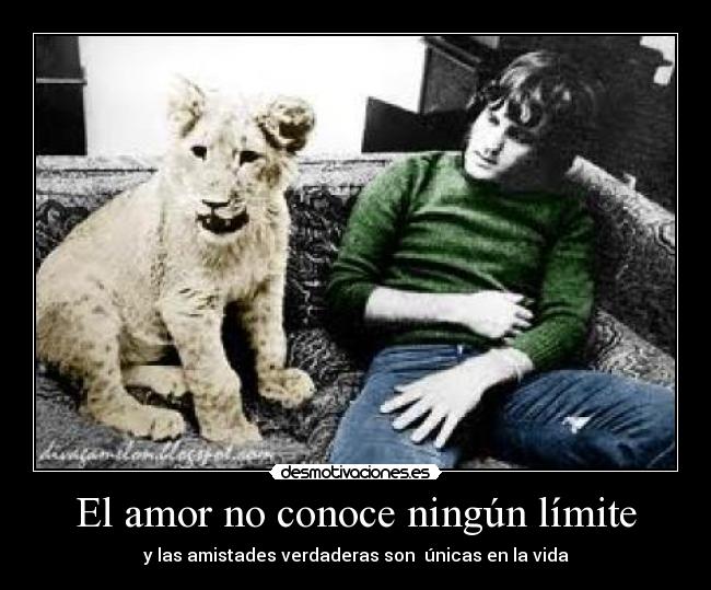 El amor no conoce ningún límite - y las amistades verdaderas son únicas en la vida