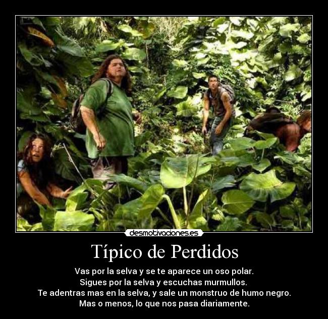 carteles perdidos tipico tipico selva monstruo humo negro pasa diariamente oso polar murmullos desmotivaciones