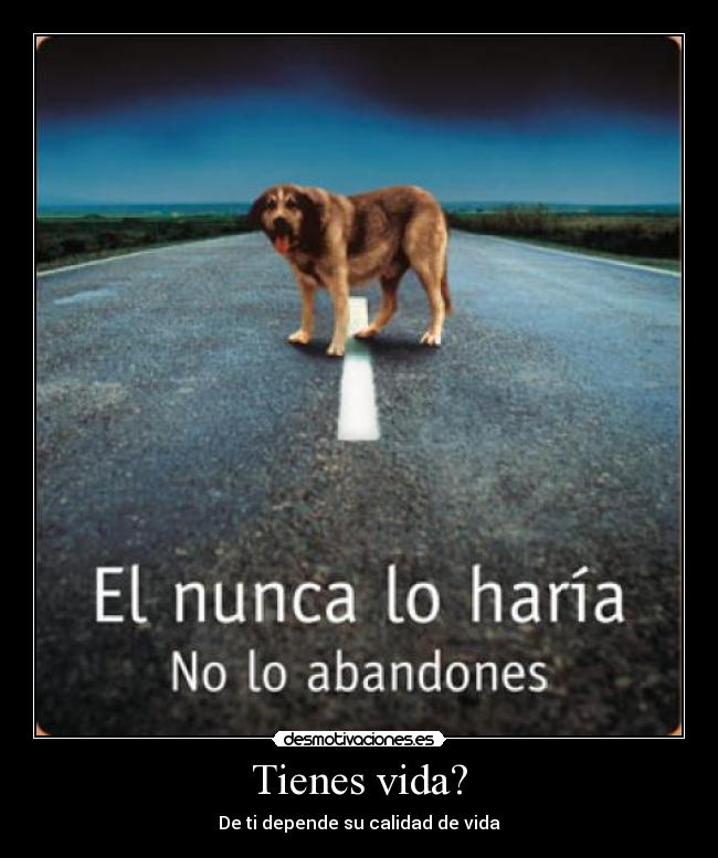 Tienes vida? - De ti depende su calidad de vida
