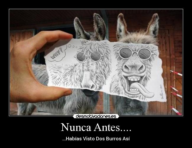 Nunca Antes.... - ...Habías Visto Dos Burros Así