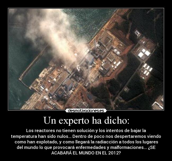 Un experto ha dicho: -