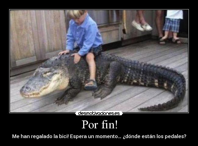 Por fin! - Me han regalado la bici! Espera un momento… ¿dónde están los pedales?