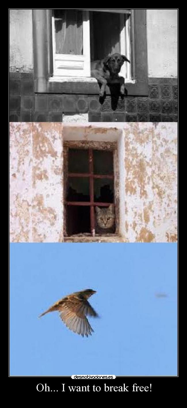 Oh... I want to break free! - 