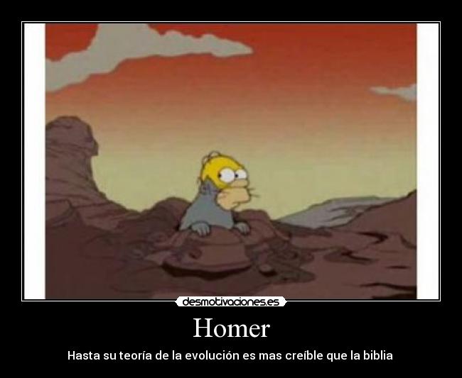 Homer - 