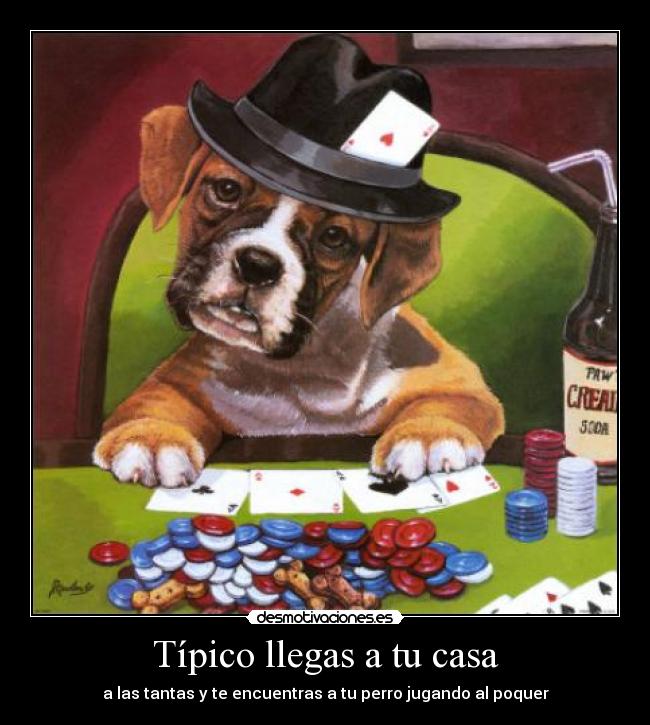 Típico llegas a tu casa - 