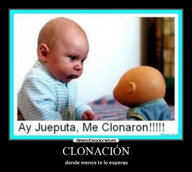 CLONACIÓN -