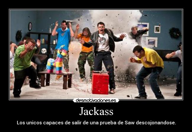 Jackass -