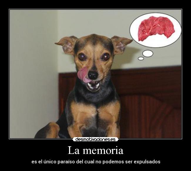 La memoria -
