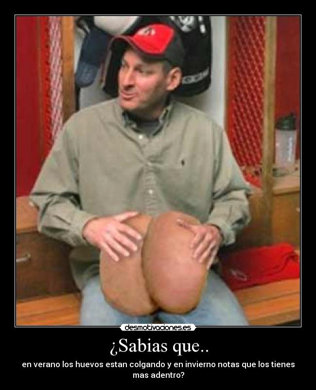 ¿Sabias que.. - en verano los huevos estan colgando y en invierno notas que los tienes mas adentro?