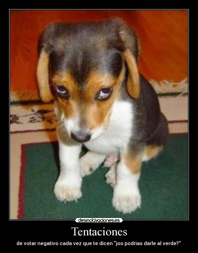 Tentaciones -
