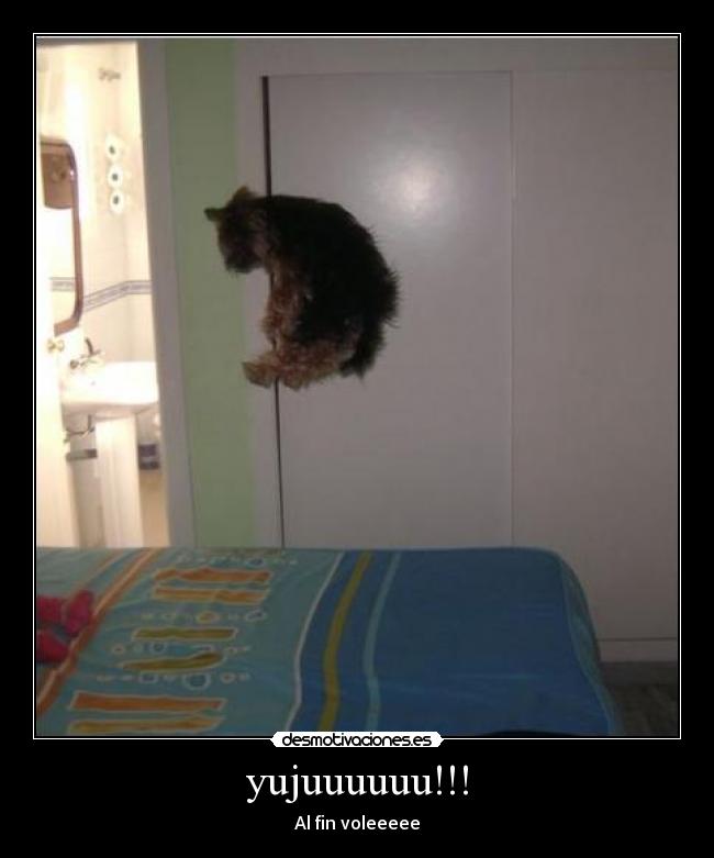 yujuuuuuu!!! - Al fin voleeeee