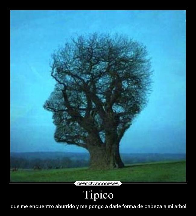 Tipico -