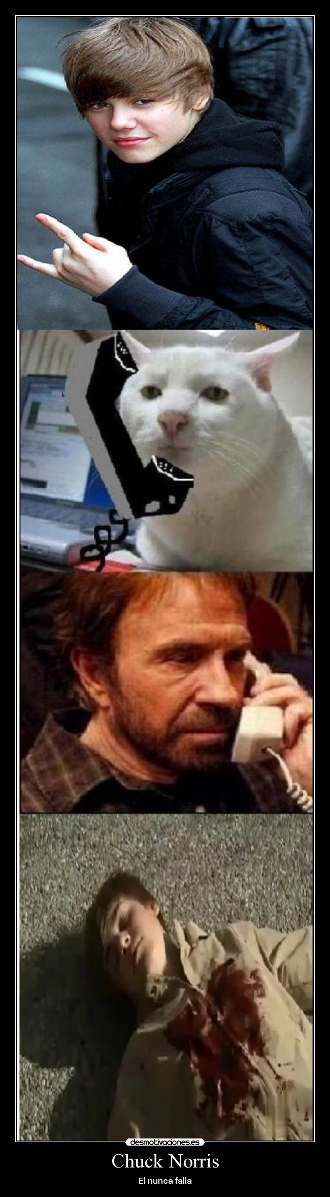 Chuck Norris -