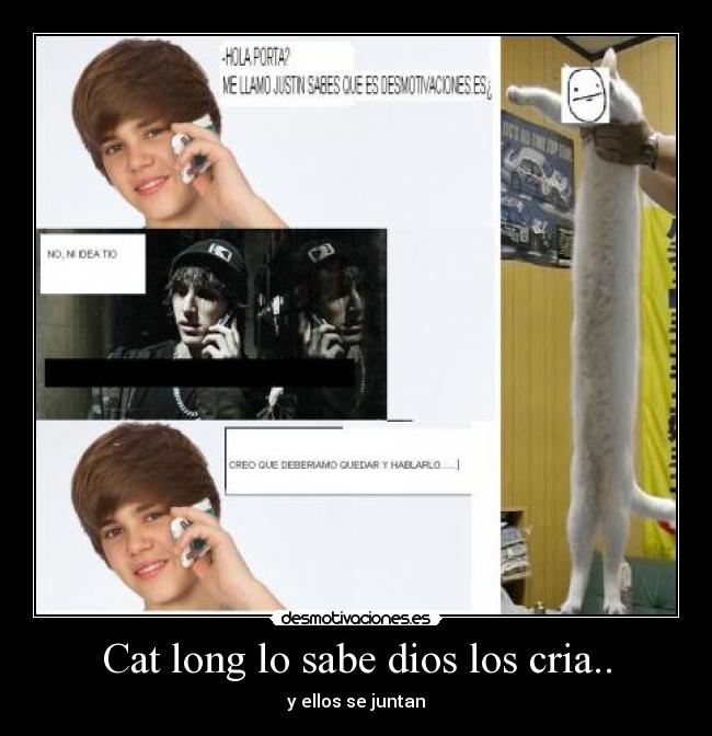 carteles dios perrete_del_zur desmotivaciones