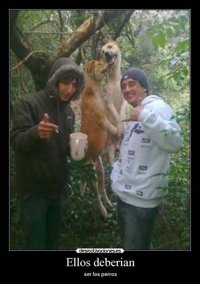 Ellos deberian - ser los perros