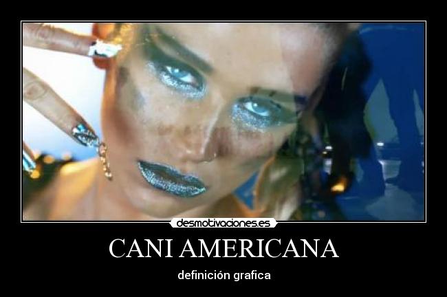 CANI AMERICANA - definición grafica