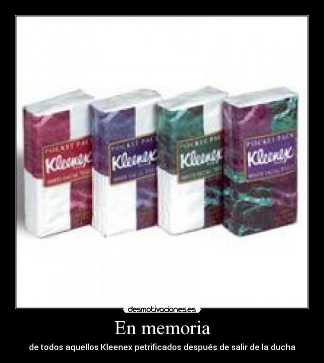 En memoria - de todos aquellos Kleenex petrificados después de salir de la ducha