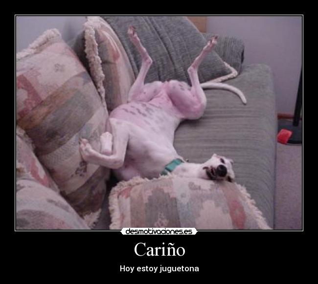 Cariño - Hoy estoy juguetona