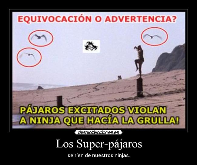 Los Super-pájaros - se ríen de nuestros ninjas.