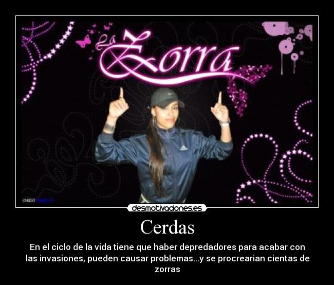 Cerdas - 