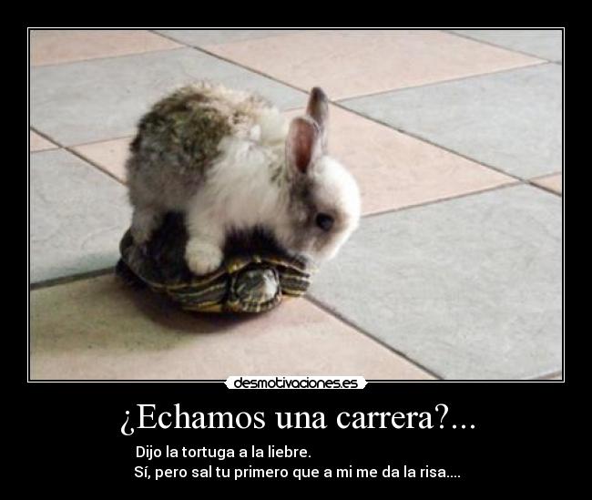 ¿Echamos una carrera?... - Dijo la tortuga a la liebre.                                        
Sí, pero sal tu primero que a mi me da la risa....