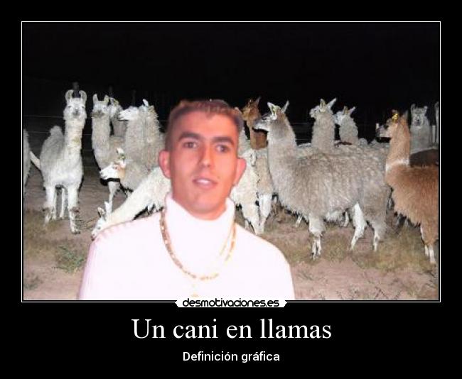 Un cani en llamas - Definición gráfica