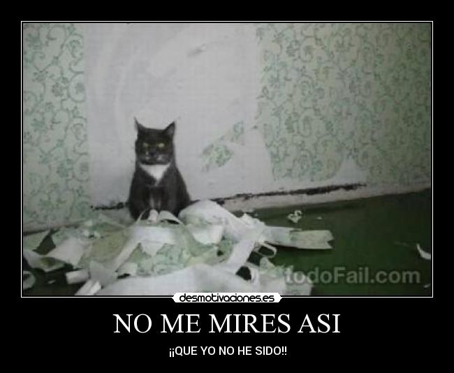 NO ME MIRES ASI - ¡¡QUE YO NO HE SIDO!!