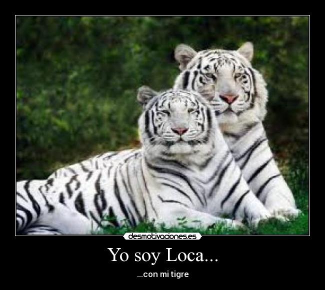 Yo soy Loca... - 