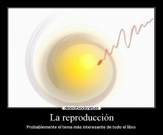 La reproducción - 