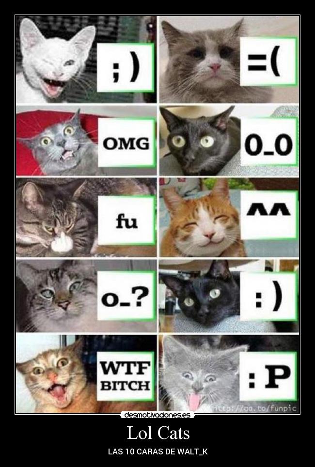 Lol Cats - 