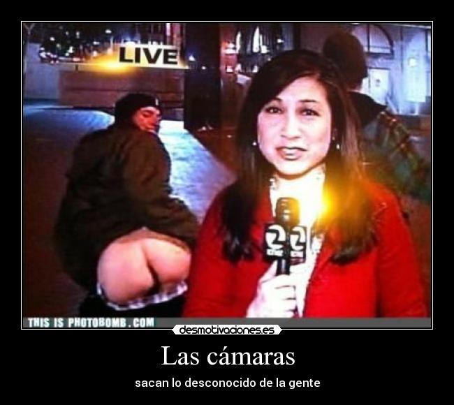 Las cámaras - 