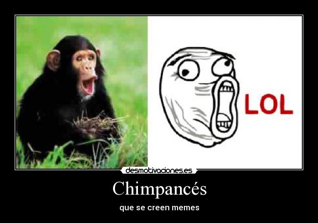 carteles lol chimpance desmotivaciones