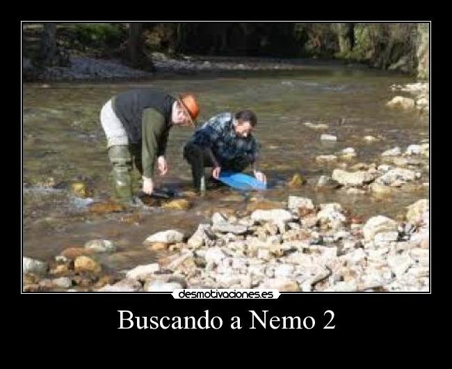 Buscando a Nemo 2 -