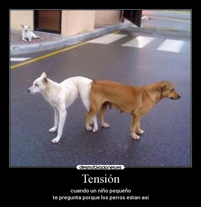 Tensión -