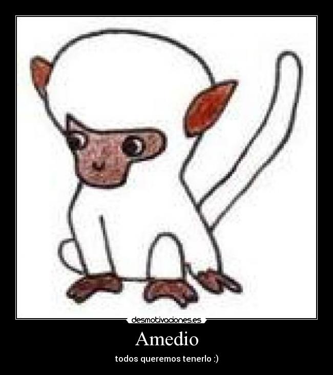 Amedio - todos queremos tenerlo :)