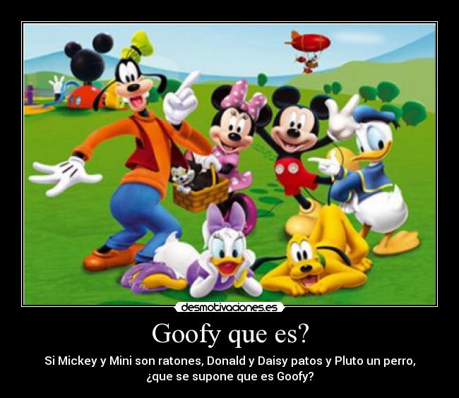 Goofy que es? - Si Mickey y Mini son ratones, Donald y Daisy patos y Pluto un perro,
¿que se supone que es Goofy?