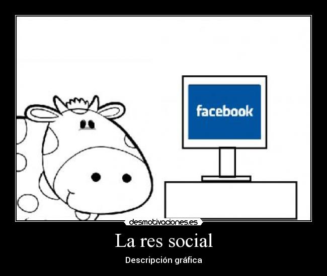 carteles vaca res social gracioso desmotivaciones