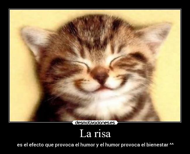 La risa - es el efecto que provoca el humor y el humor provoca el bienestar ^^