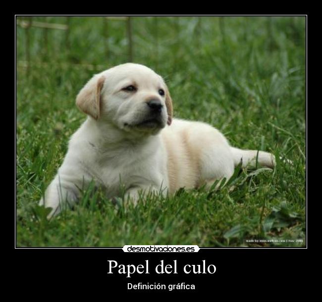 Papel del culo -
