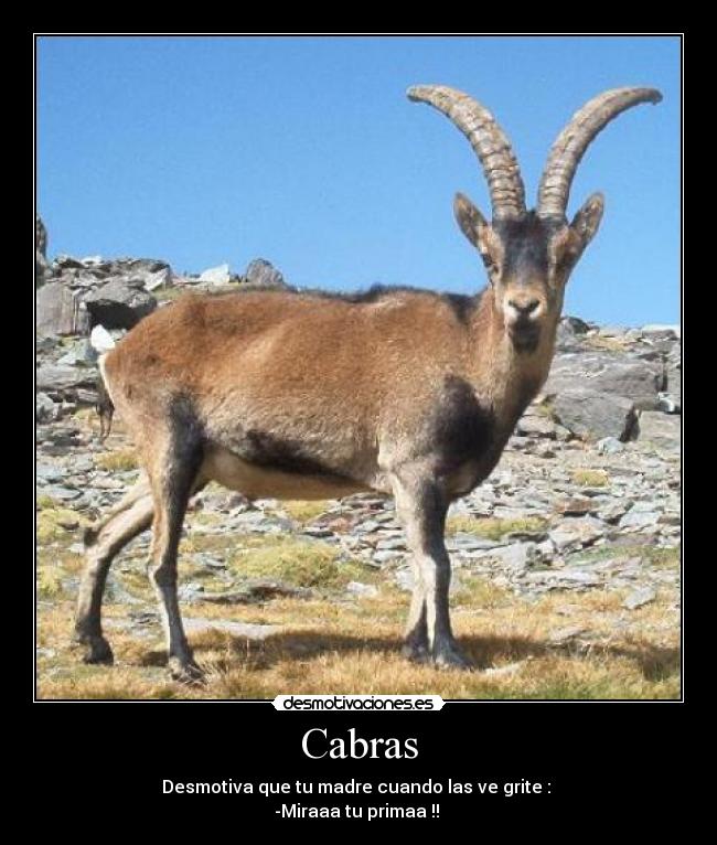 Cabras -