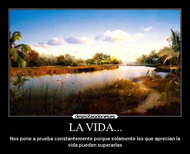 LA VIDA... - 