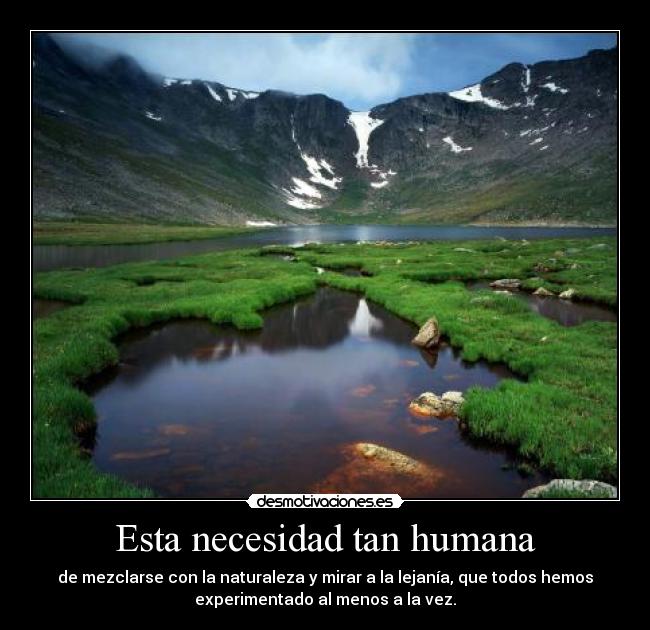 Esta necesidad tan humana -