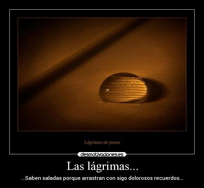 Las lágrimas... - ...Saben saladas porque arrastran con sigo dolorosos recuerdos...