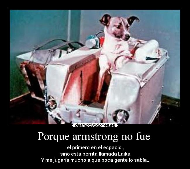 Porque armstrong no fue  - 
