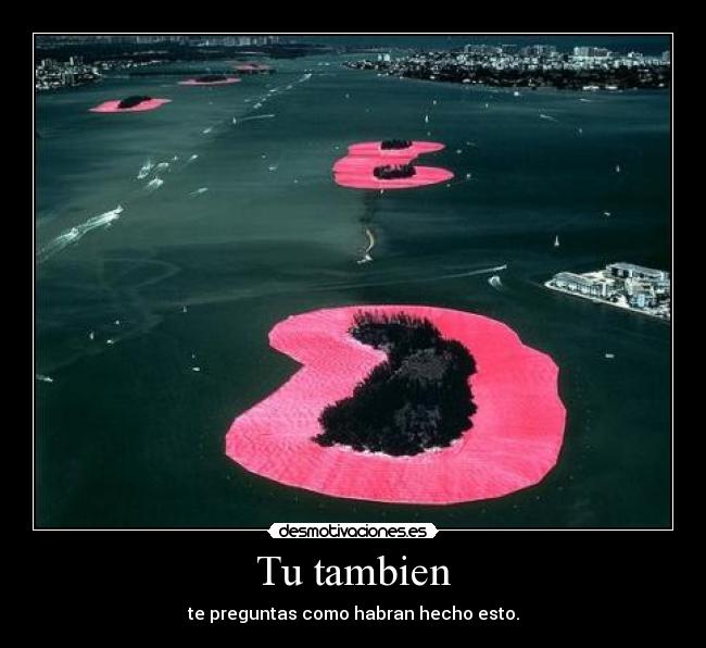 Tu tambien -