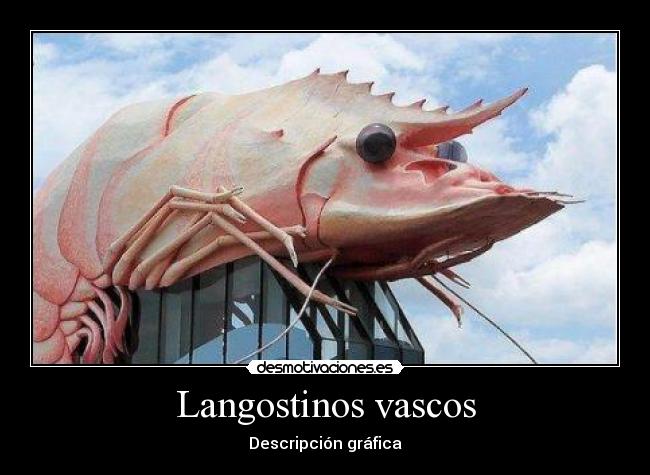 Langostinos vascos - Descripción gráfica