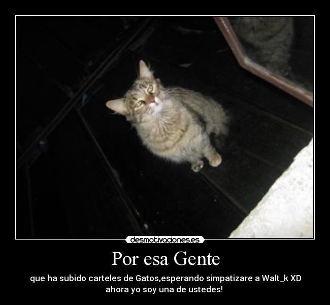 Por esa Gente - que ha subido carteles de Gatos,esperando simpatizare a Walt_k XD
ahora yo soy una de ustedes! 